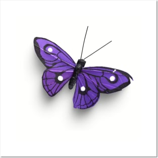 Real Butterfly Purple Posters and Art